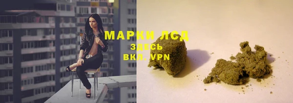 крисы Алзамай