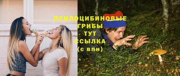 крисы Алзамай