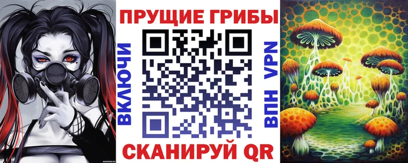 Псилоцибиновые грибы Psilocybine cubensis  Харовск 